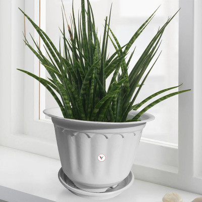 VINSHRA 10 INCH WHT Plastic Flower Pot Round Jasmine Pot with 6-inch Bottom Tray PACK-03 Plant Container Set(Plastic)