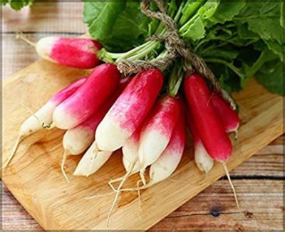 Gromax Good Variety Half Radish Red Vegetable Seed, For Home Garden Pack Of 40 Seed(50 per packet)