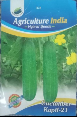 clause cucumber, kheera Seed(20 per packet)