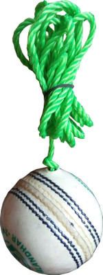 PSE Match Practice Hanging Cricket Training Ball(Standard, Pack of 1, White)