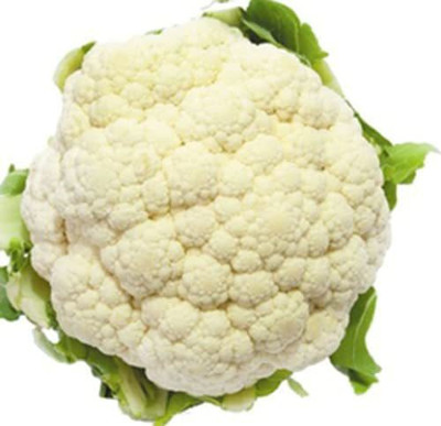 CYBEXIS NDIR-34 - Pusa Hybrid Cauliflower - (1350 Seeds) Seed(1350 per packet)