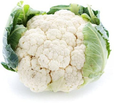CYBEXIS KGF -37 - Cauliflower F1 Hybrid Imported - (1350 Seeds) Seed(1350 per packet)