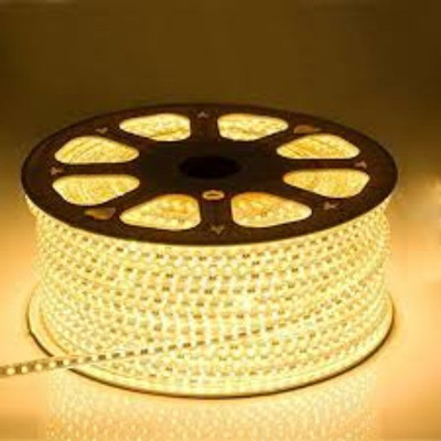 JASVIN TRADERS 1760 LEDs 20 m Gold Steady Ball Rice Lights(Pack of 1)