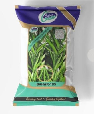 CALYXSEEDS : BAHAR-105 IMPROVED CLUSTER BEANS, CLUSTER BEANS, GUAR FALLI Seed(100 g)