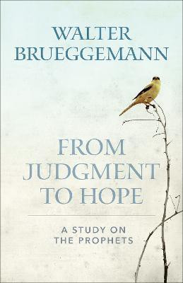 From Judgment to Hope(English, Paperback, Brueggemann Walter)
