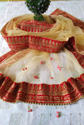 dhenu Net Embellished Women Dupatta