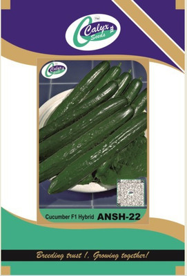 CALYXSEEDS : ANSH-22, HYBRID CUCUMBER, HYBRID CUCUMBER, HYBRID KHEERA, SEEDLESS CUCUMBER Seed(10 g)