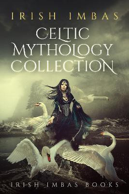Celtic Mythology Collection 1(English, Paperback, O'Sullivan Brian)