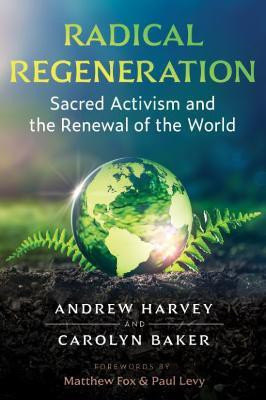 Radical Regeneration(English, Paperback, Harvey Andrew)