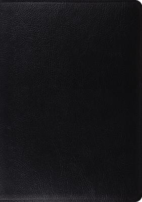 ESV Study Bible(English, Leather / fine binding, unknown)