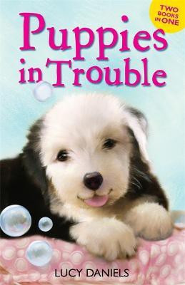 Animal Ark: Puppies in Trouble(English, Paperback, Daniels Lucy)