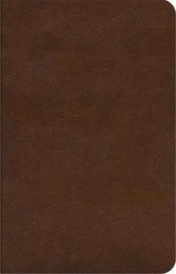 ESV Concise Study Bible (TM)(English, Leather / fine binding, unknown)