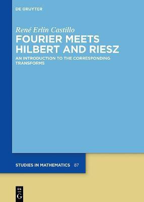 Fourier Meets Hilbert and Riesz(English, Electronic book text, Castillo Rene Erlin)