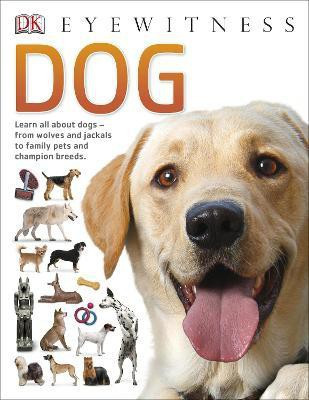 Dog(English, Paperback, DK)
