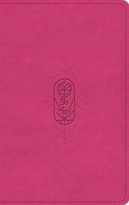 ESV Kid's Bible, Thinline, Red Letter(English, Leather / fine binding, unknown)