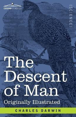 The Descent of Man(English, Paperback, Darwin Charles)