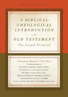 A Biblical-Theological Introduction to the Old Testament(English, Hardcover, unknown)