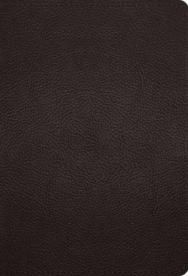 ESV Large Print Compact Bible, Red Letter(English, Leather / fine binding, unknown)