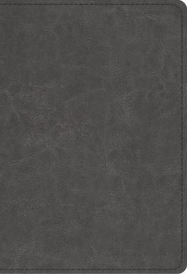 ESV Student Study Bible(English, Leather / fine binding, unknown)