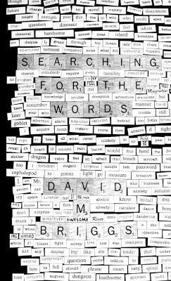 Searching for the Words(English, Paperback, Briggs David M)