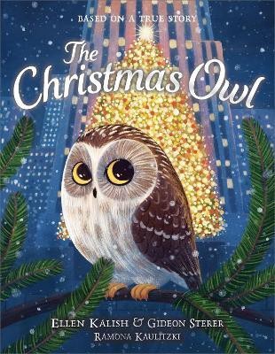 The Christmas Owl(English, Hardcover, Sterer Gideon)