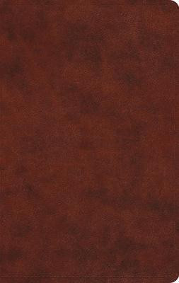 ESV Large Print Value Thinline Bible(English, Leather / fine binding, unknown)