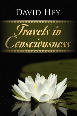 Travels in Consciousness(English, Paperback, Hey David)