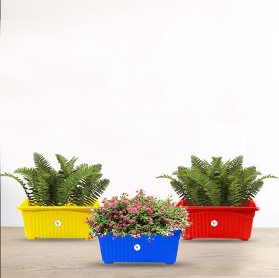 VINSHRA Rectangular plastic pot. red-yellow-blue 13 inch set of 3 Plant Container Set(Pack of 3, Plastic)