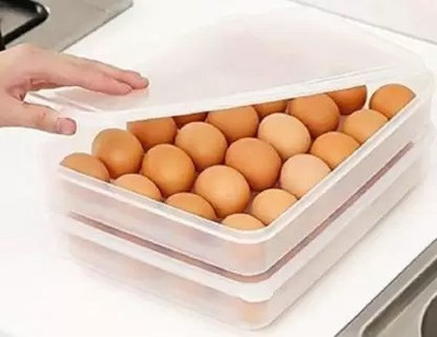 hurrio Plastic Egg Container  - 1 dozen(Multicolor)