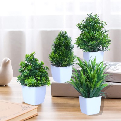 MODO Set of 4 Green Plants for 'Living Room' Office Decoration & Giftting - (14.5 CM) Bonsai Wild Artificial Plant  with Pot(14.5 cm, Green)