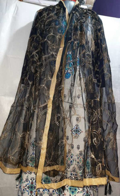 scope creations Net Embroidered Women Dupatta