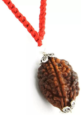 Fine Creation Certified/Original Two Mukhi Rudraksha/Natural 2-faced For Men & Women Wood
