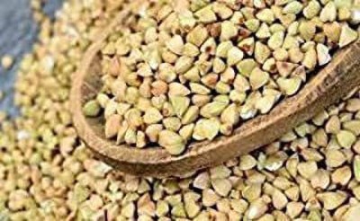 V MART Buckwheat Seeds / Kuttu Giri / Buckwheat Groats (500g)(500 g)