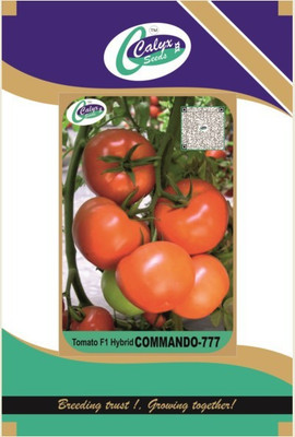 CALYXSEEDS : COMMANDO-777, F1 HYBRID TOMATO, HYBRID TOMATO, HYBRID TAMATAR Seed(1 g)