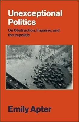 Unexceptional Politics(English, Hardcover, Apter Emily)