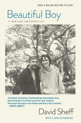 Beautiful Boy (tie-In)(English, Paperback, Sheff David)