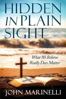 Hidden In Plain Sight(English, Paperback, Marinelli John)