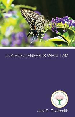 Consciousness is What I am(English, Paperback, Goldsmith Joel S.)