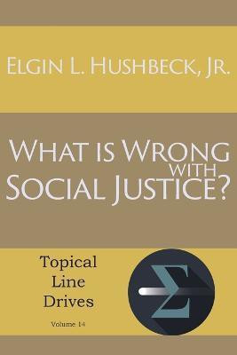 What Is Wrong with Social Justice(English, Paperback, Hushbeck Elgin L Jr)