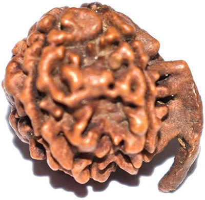 A & S VENTURES A&S Ventures 5 Mukhi Ganesh JI Nepali Rudraksha Bead Original Rudraksha Wood Pendant