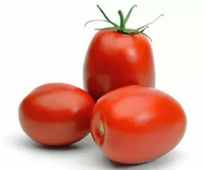 XOLDA Tomato Roma Seed(37 per packet)