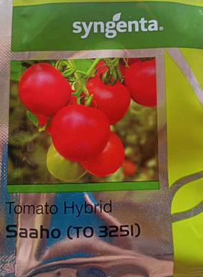 syngenta Tomato Seed(500 per packet)
