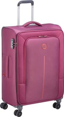 Delsey 31 inch online