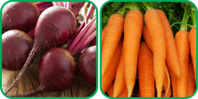 Profound Profound Combo of Two Vegetable seeds Beetroot (50 seeds), Carrot (100 seeds) Seed(150 per packet)