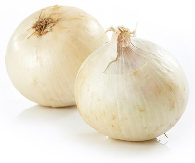 XOLDA Onion White Seed(37 per packet)
