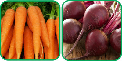 Profound Profound Combo of Two Vegetable Seeds Carrot and Beetroot, each of 100 seeds Seed(200 per packet)