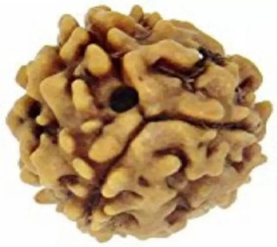 Chopra Gems Certified/Original Three Mukhi Rudraksha/Natural 3-faced For Men & Women Wood Pendant