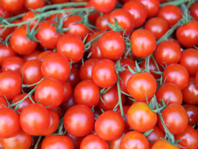 XOLDA Tomato Seed(28 per packet)