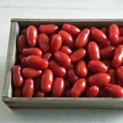 VRAKSHA Tomato Valentine Seed(200 per packet)