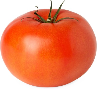 VRAKSHA Tomatoes Seed(300 per packet)